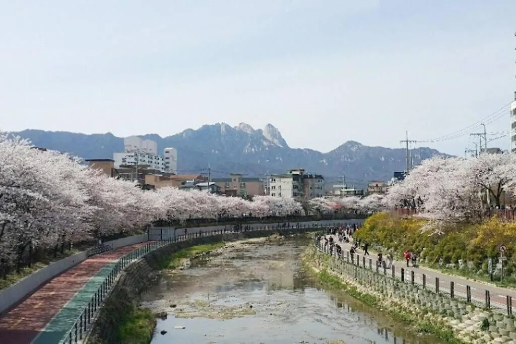 Apartament Evergreen Studio Seul Korea Południowa